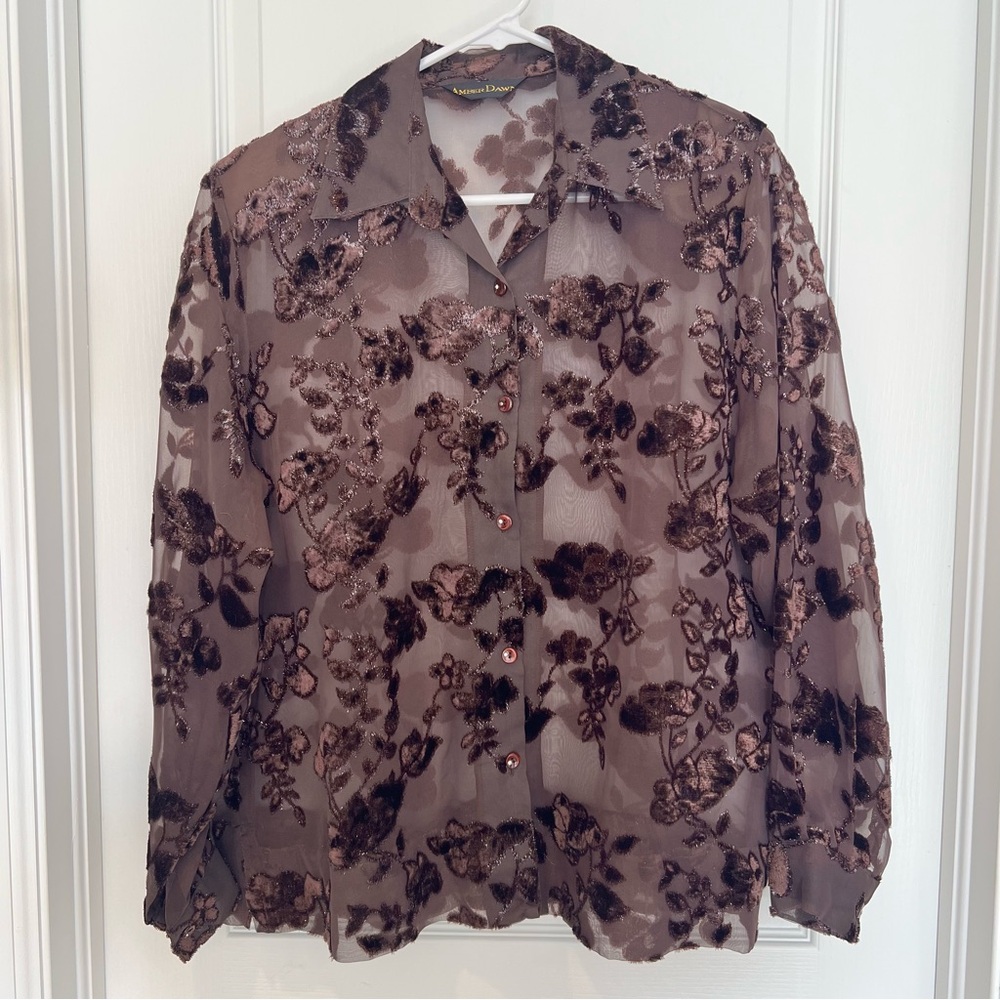 Vintage Amber Dawn Velvet Burnout Blouse XL Brown Floral Sheer Boho Y2K Retro